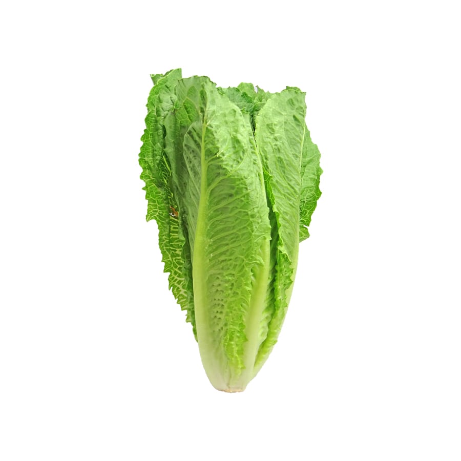 Example Broccoli