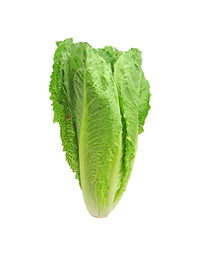Example Courgettes
